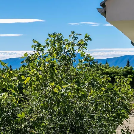 Appartamento With Parking Space - Makarska - 14708 Gradac (Split-Dalmatia)
